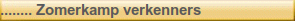 ........ Zomerkamp verkenners